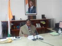 Les exploitants de bois de vêne sommés d’arrêter leur activité (ministère)